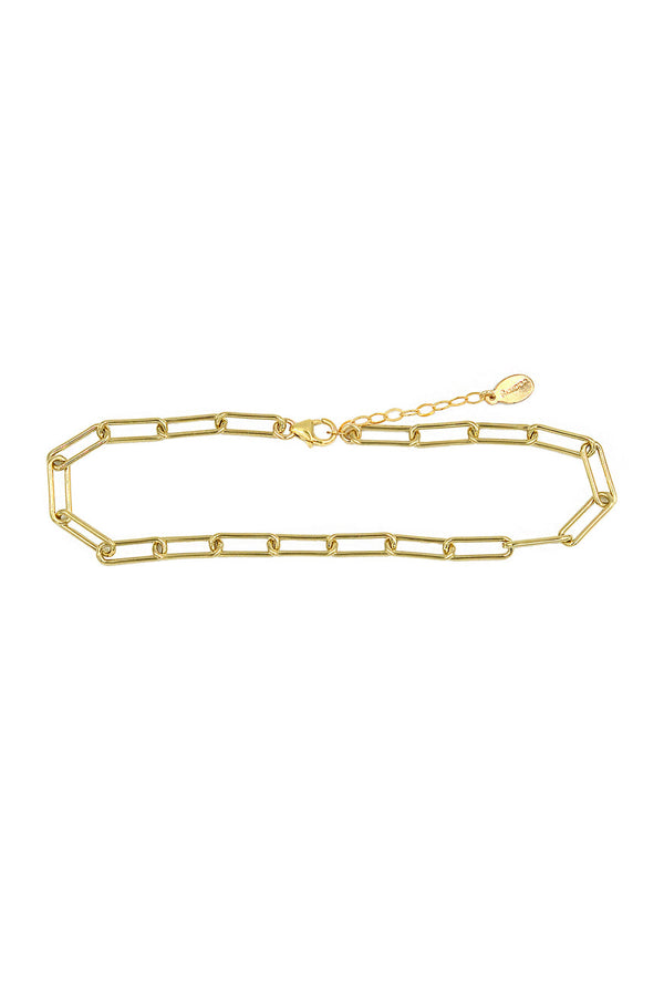 Vida Chain Anklet