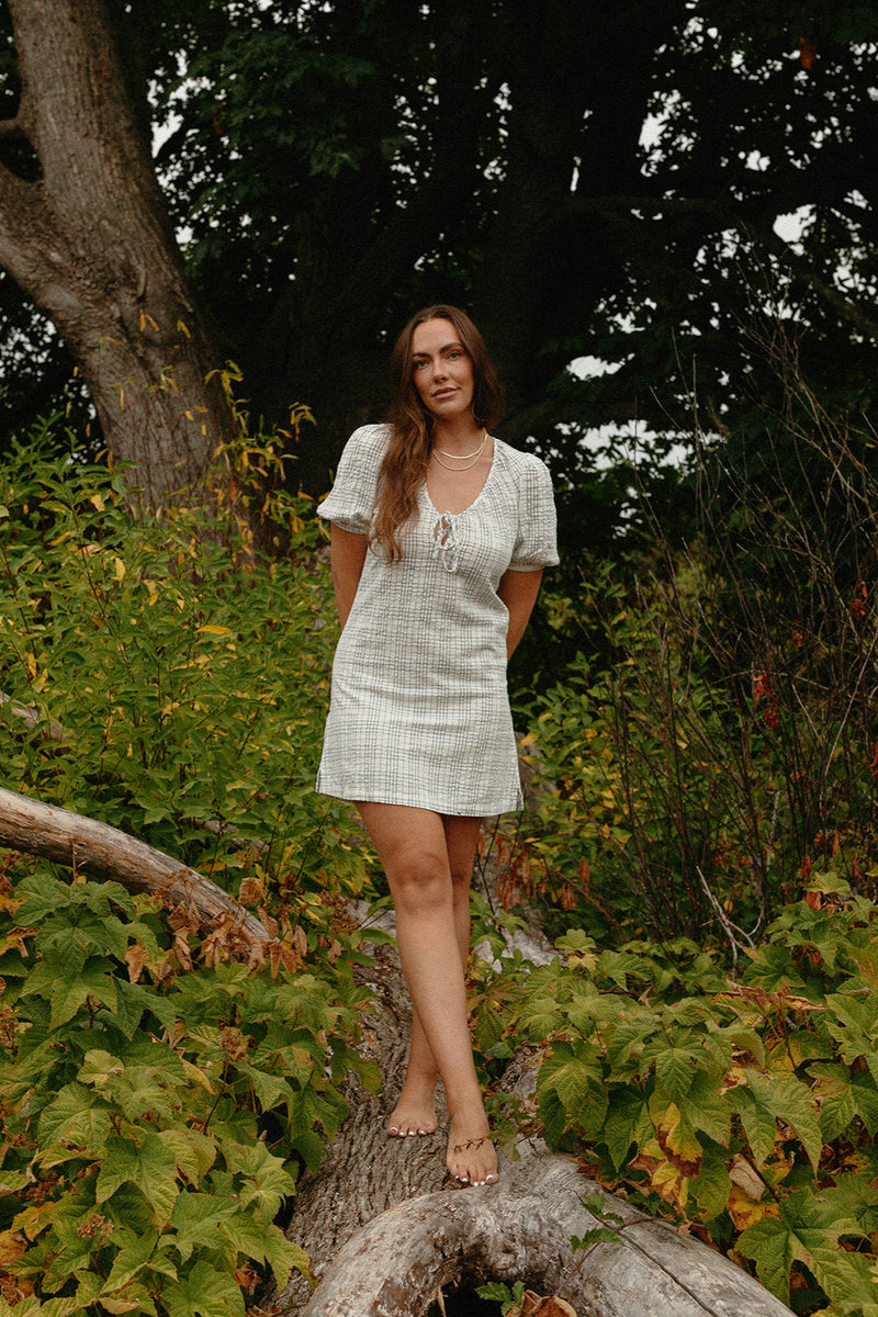 Desi Mini Dress Blue Plaid