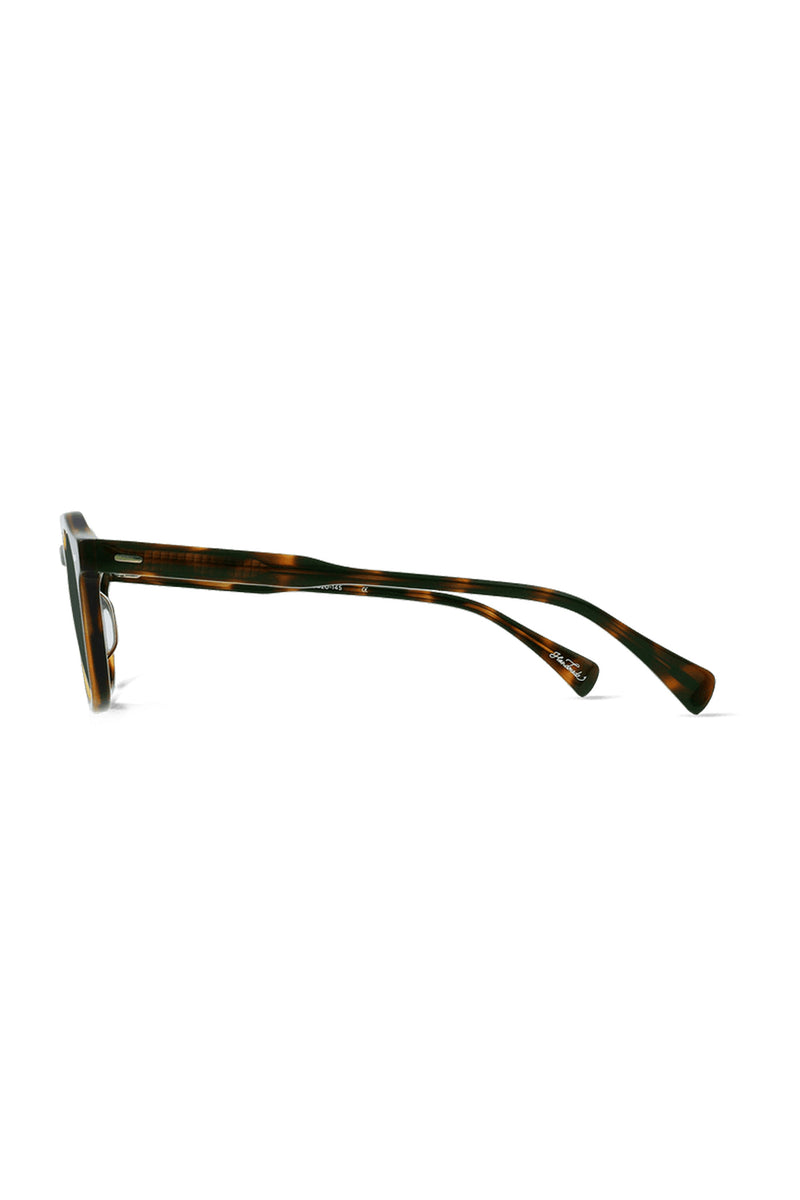 Clyve Sunglasses Espresso Tortoise / Green Polarized