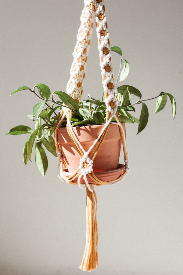 Daisy Chain Macrame Plant Holder Petite White