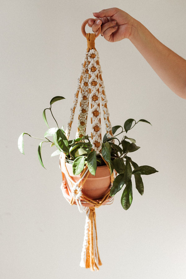 Daisy Chain Macrame Plant Holder Petite White