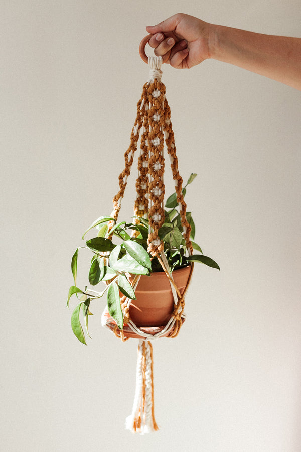 Daisy Chain Macrame Plant Holder Petite Mustard