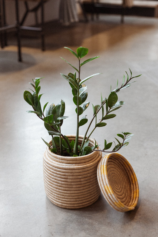 Large Canister Basket Golden