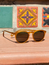 Remmy Sunglasses Honey / Bottle Green